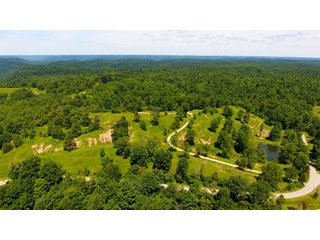 Property photo 19 - LAND AUCTION - 1,682+/- ACRES OFFERED IN 17 TRACTS IN LEWIS & GREENUP COUNTIES, KENTUCKY